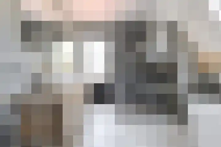 Oranjestraat 4 Raamsdonksveer thumbnail 45