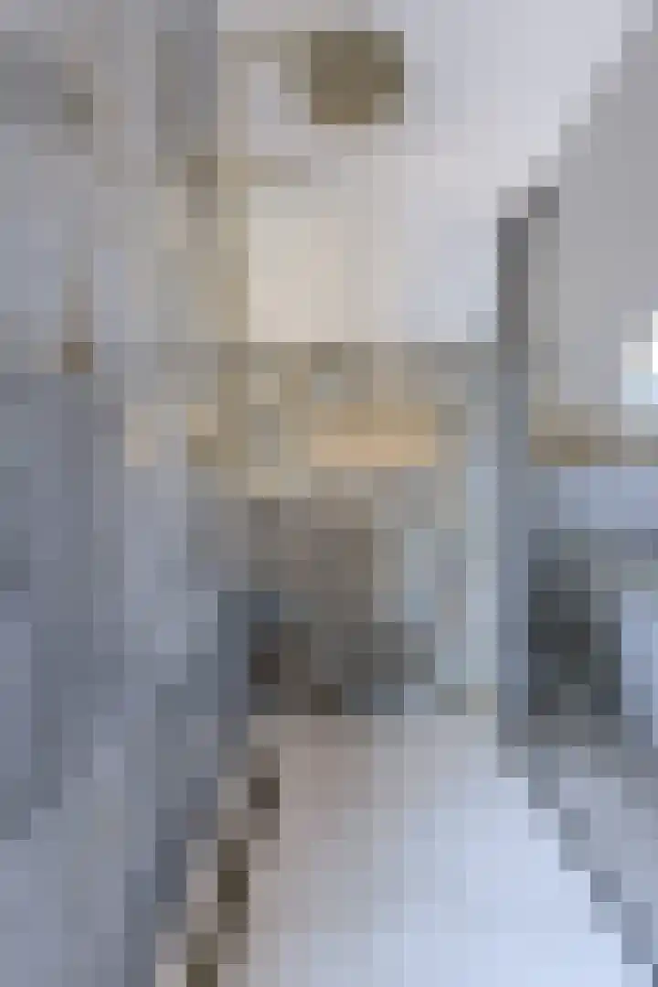 Oranjestraat 4 Raamsdonksveer thumbnail 47
