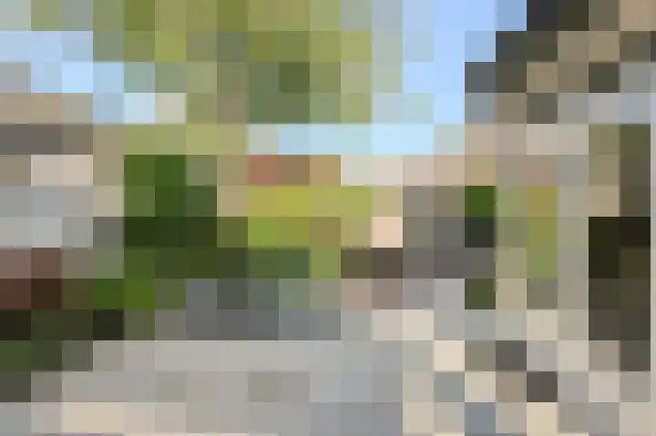 Oranjestraat 4 Raamsdonksveer thumbnail 57