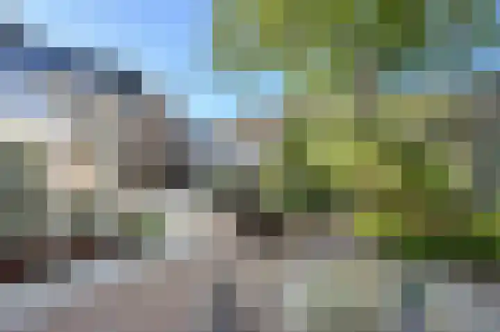 Oranjestraat 4 Raamsdonksveer thumbnail 62