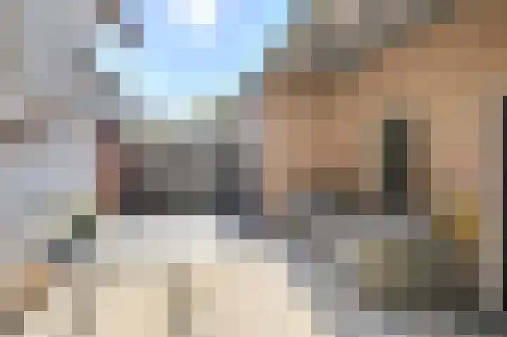 Oranjestraat 4 Raamsdonksveer thumbnail 65