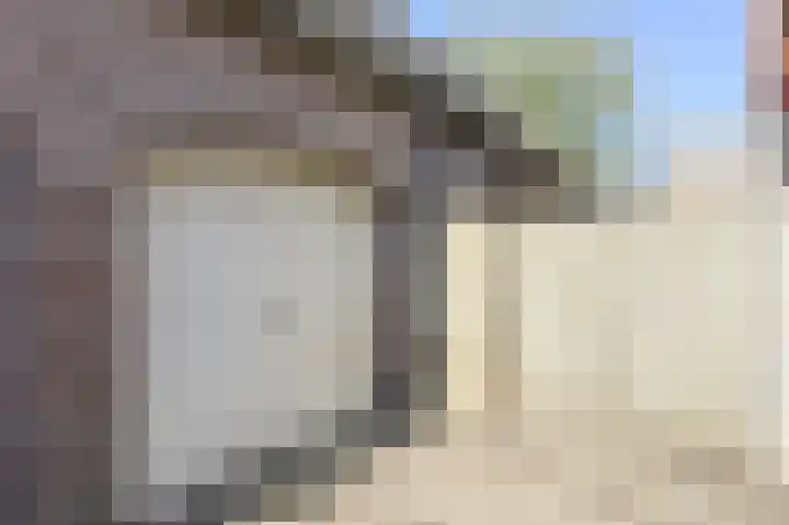 Oranjestraat 4 Raamsdonksveer thumbnail 68