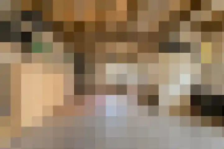 Oranjestraat 4 Raamsdonksveer thumbnail 69