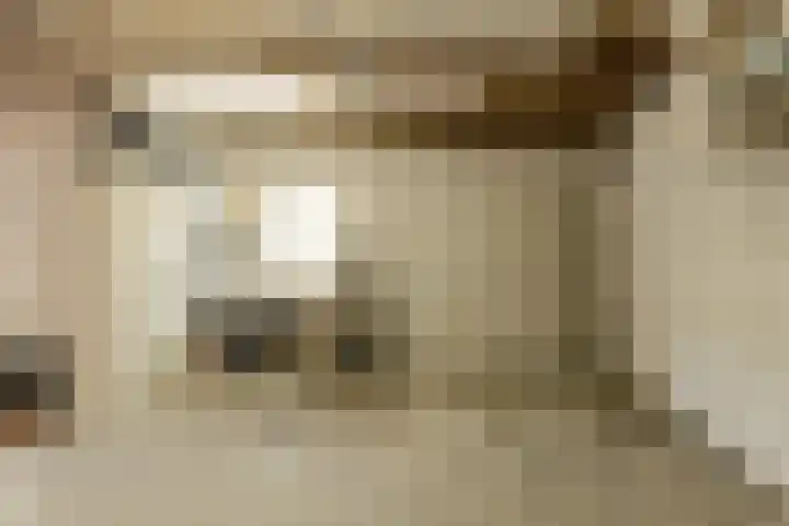 Oranjestraat 4 Raamsdonksveer thumbnail 70