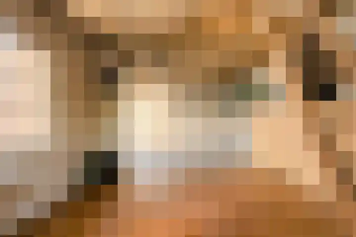 Oranjestraat 4 Raamsdonksveer thumbnail 71