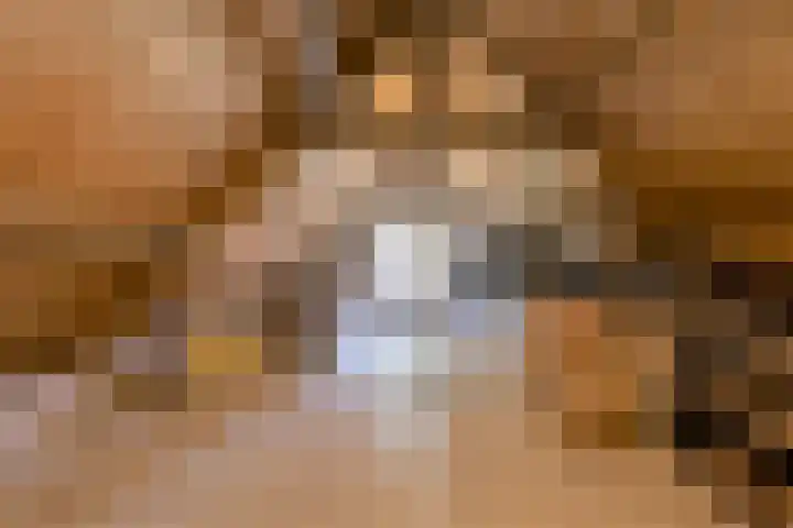 Oranjestraat 4 Raamsdonksveer thumbnail 72
