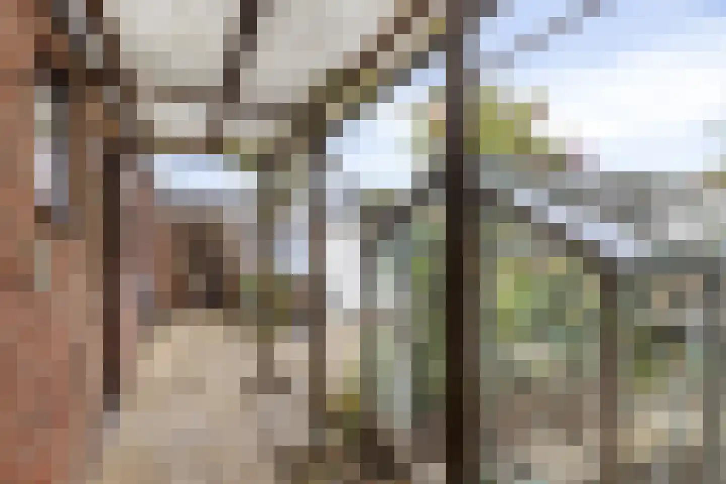 Oranjestraat 4 Westkapelle thumbnail 16