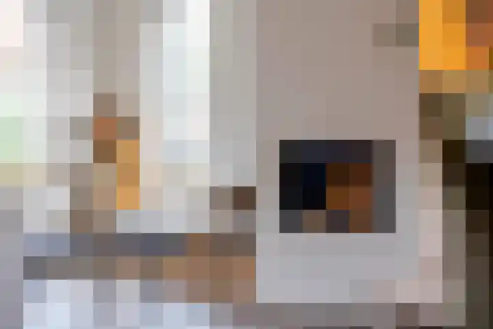 Oranjestraat 41 Hardinxveld-Giessendam thumbnail 13