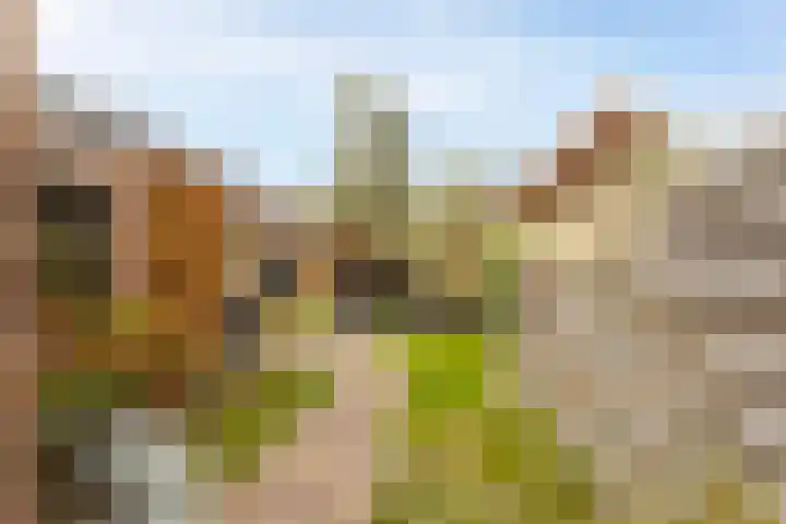 Oranjestraat 41 Hardinxveld-Giessendam thumbnail 32
