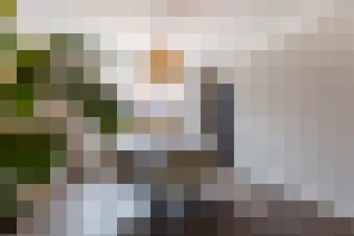 Oranjestraat 41 Hardinxveld-Giessendam thumbnail 8
