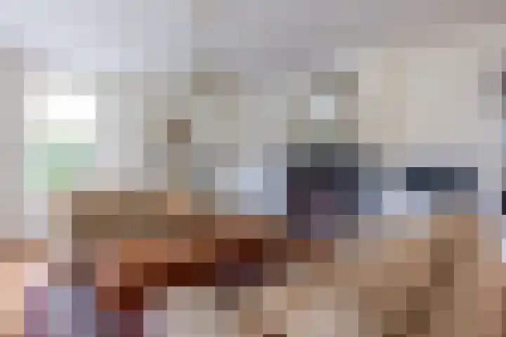Oranjestraat 42 Vroomshoop thumbnail 14