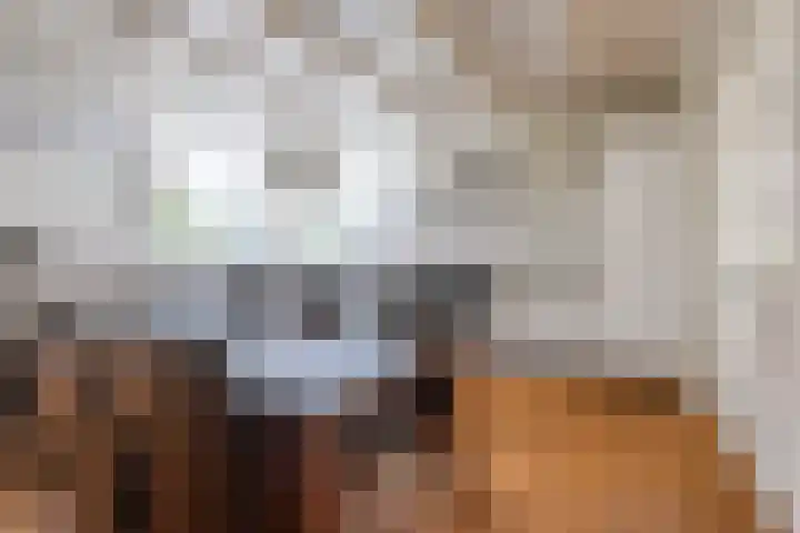 Oranjestraat 42 Vroomshoop thumbnail 20