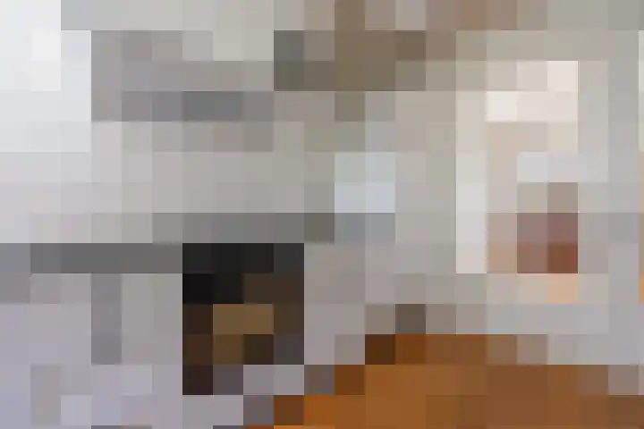 Oranjestraat 42 Vroomshoop thumbnail 23