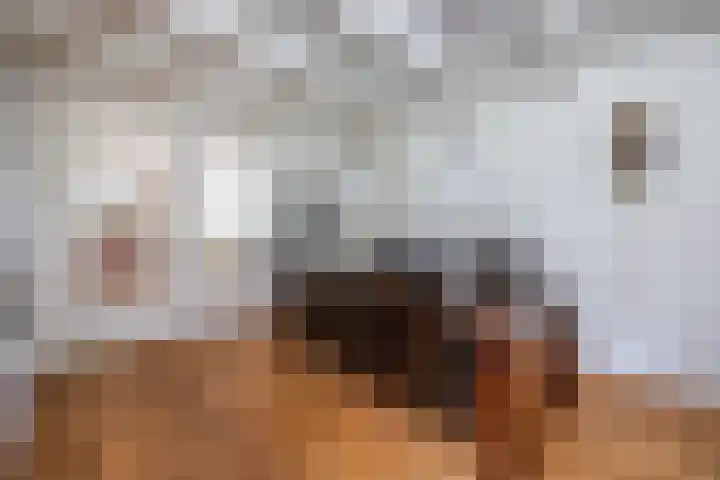 Oranjestraat 42 Vroomshoop thumbnail 24