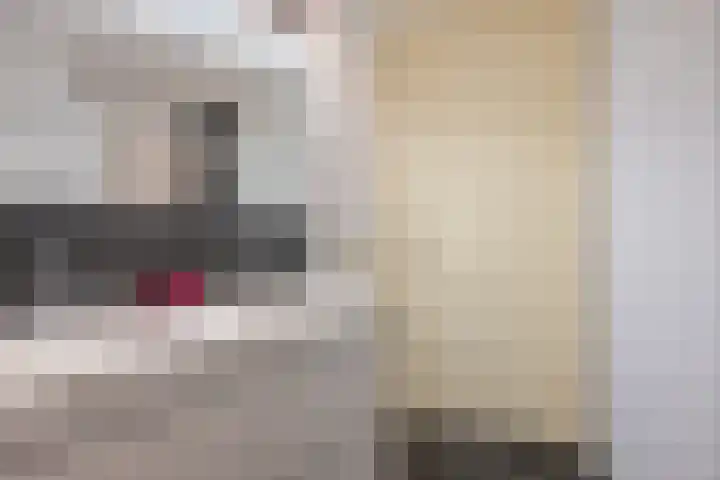 Oranjestraat 42 Vroomshoop thumbnail 29