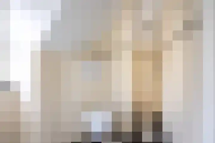 Oranjestraat 42 Vroomshoop thumbnail 36