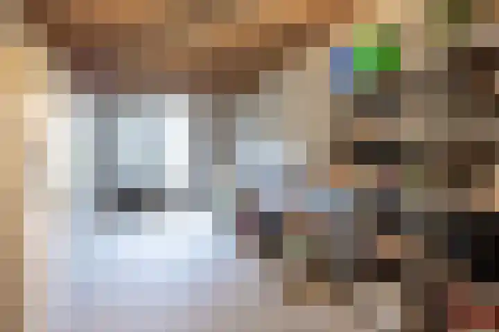 Oranjestraat 42 Vroomshoop thumbnail 38