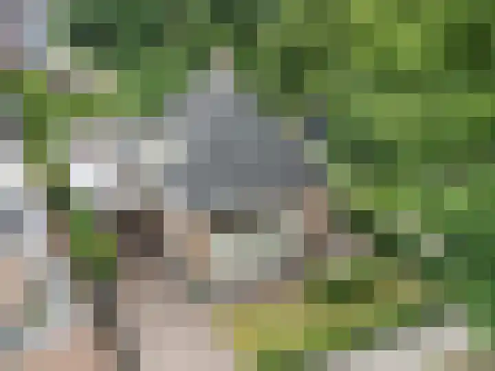 Oranjestraat 42 Vroomshoop thumbnail 4