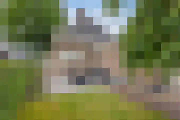 Oranjestraat 42 Vroomshoop thumbnail 42