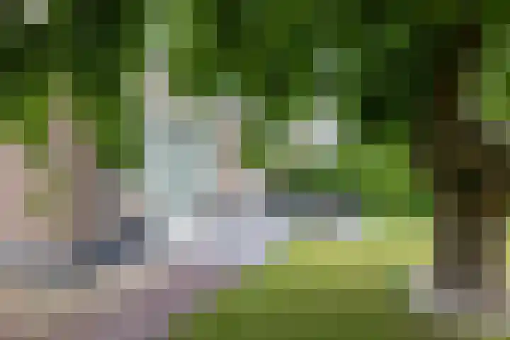 Oranjestraat 42 Vroomshoop thumbnail 45
