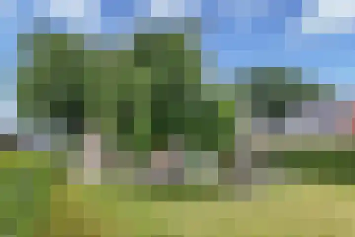 Oranjestraat 42 Vroomshoop thumbnail 46