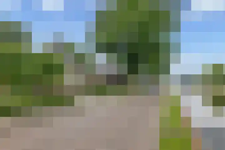 Oranjestraat 42 Vroomshoop thumbnail 5