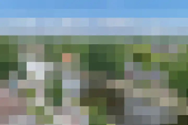 Oranjestraat 42 Vroomshoop thumbnail 50