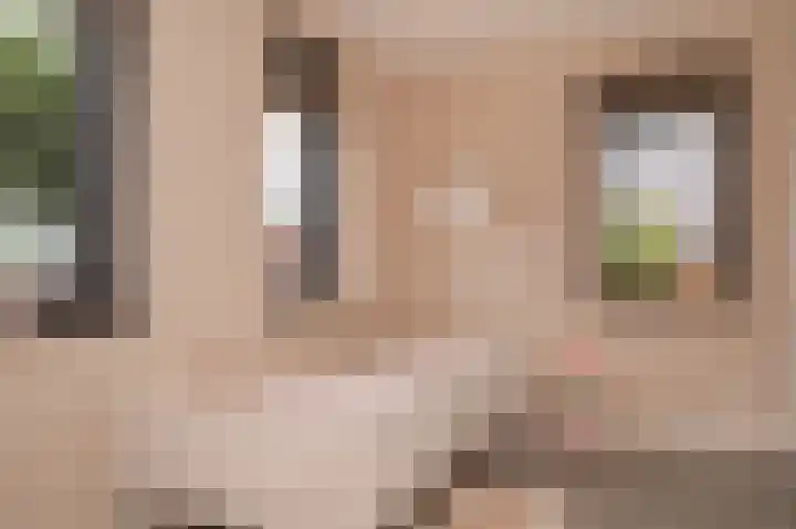 Oranjestraat 42 Vroomshoop thumbnail 57