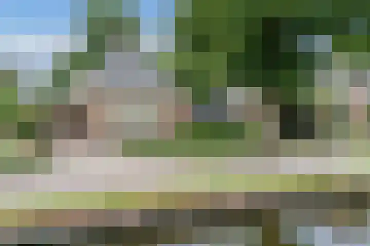 Oranjestraat 42 Vroomshoop thumbnail 57