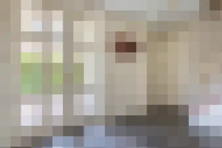 Oranjestraat 42 Vroomshoop thumbnail 6