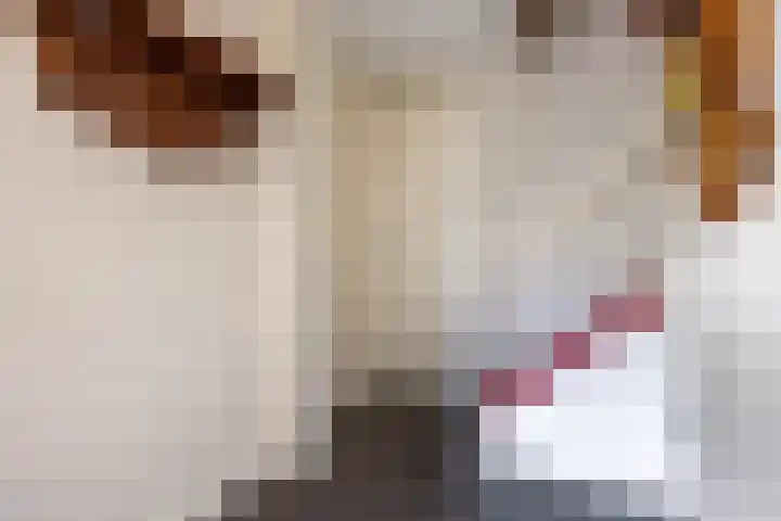 Oranjestraat 42 Vroomshoop thumbnail 8