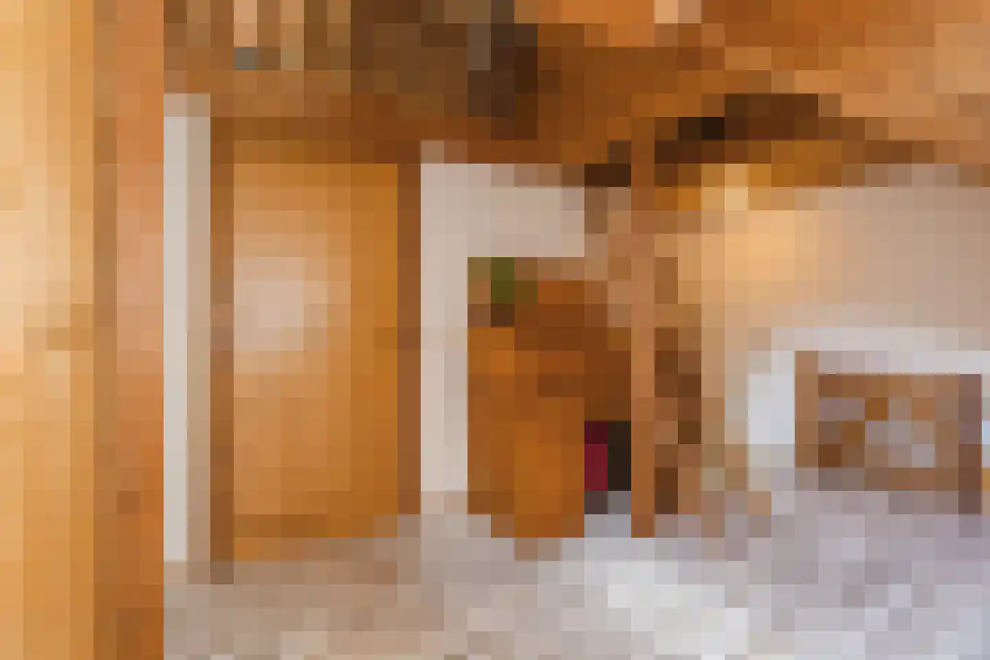 Oranjestraat 44 Gilze thumbnail 30