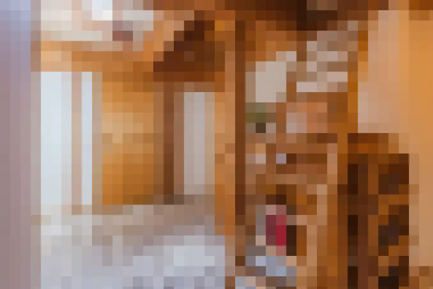 Oranjestraat 44 Gilze thumbnail 32