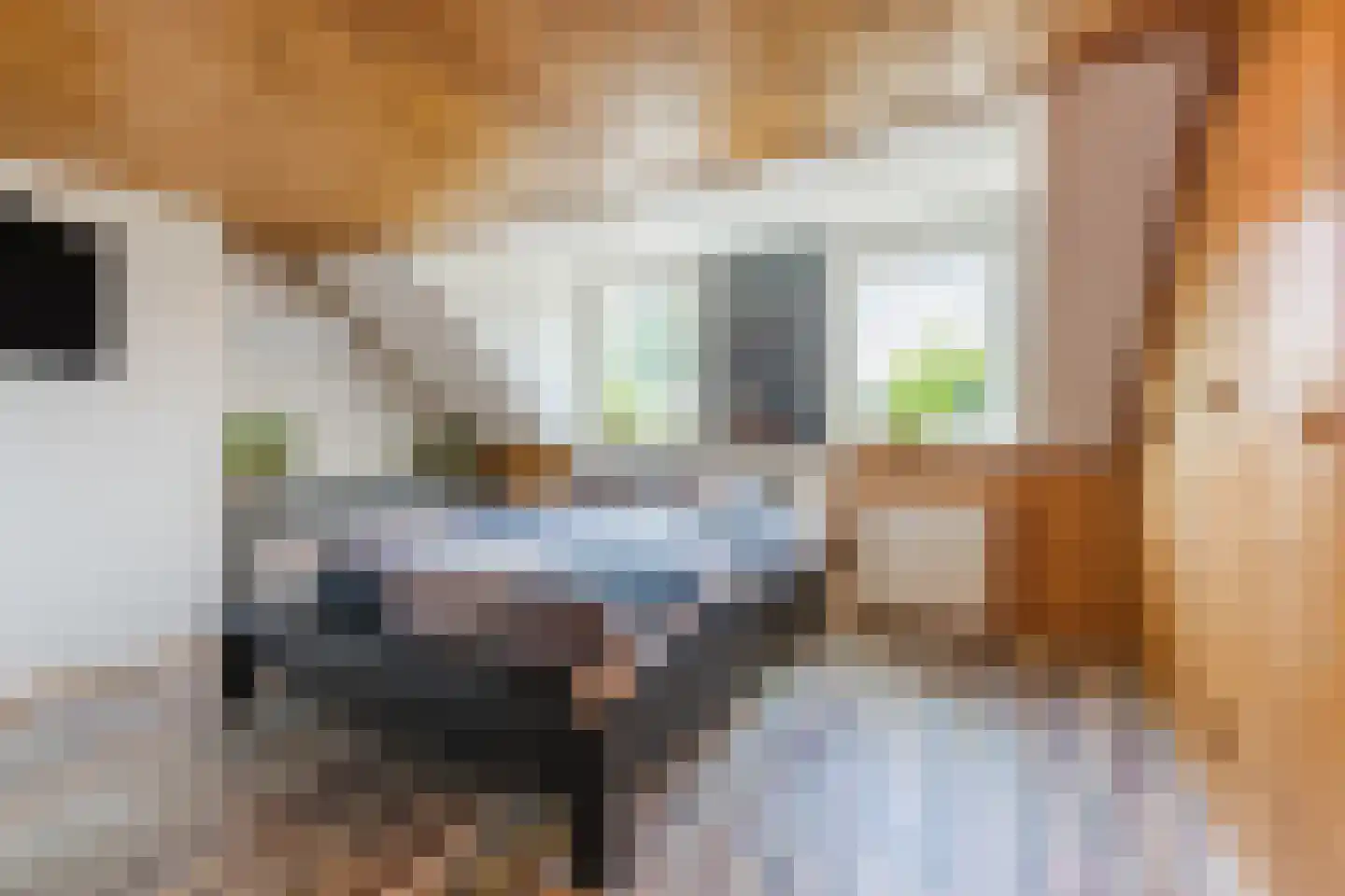 Oranjestraat 44 Gilze thumbnail 34