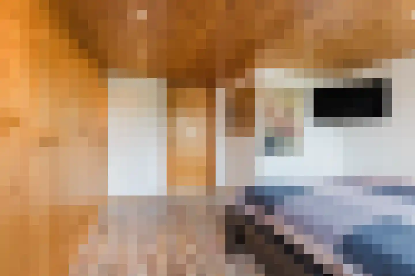 Oranjestraat 44 Gilze thumbnail 35