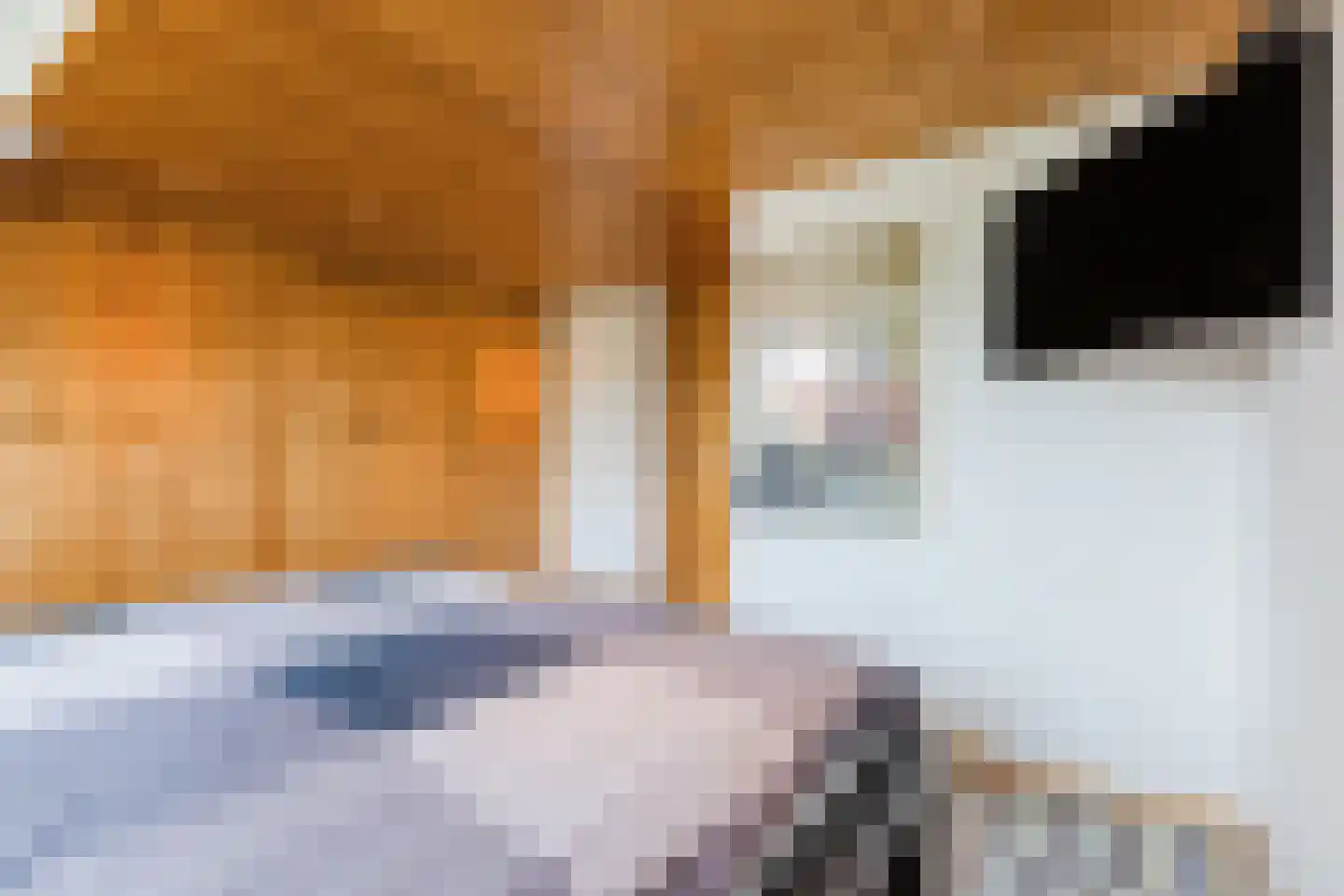 Oranjestraat 44 Gilze thumbnail 36