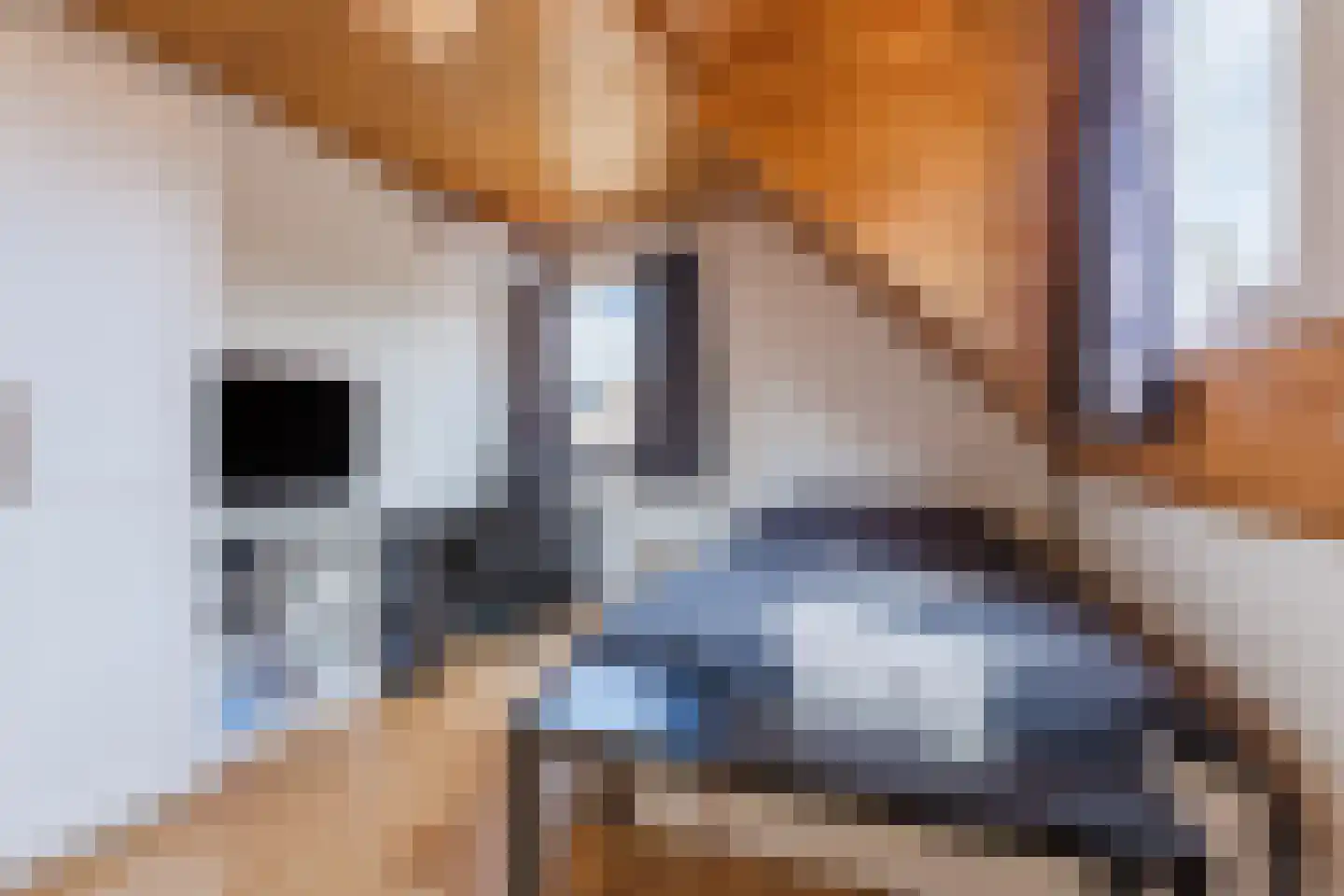 Oranjestraat 44 Gilze thumbnail 39