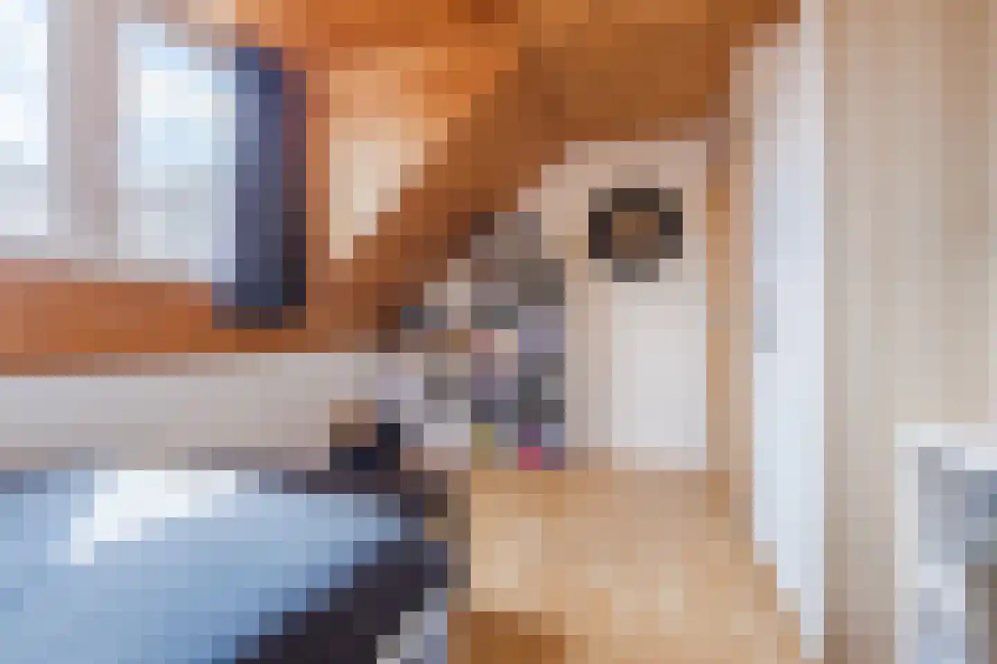 Oranjestraat 44 Gilze thumbnail 40