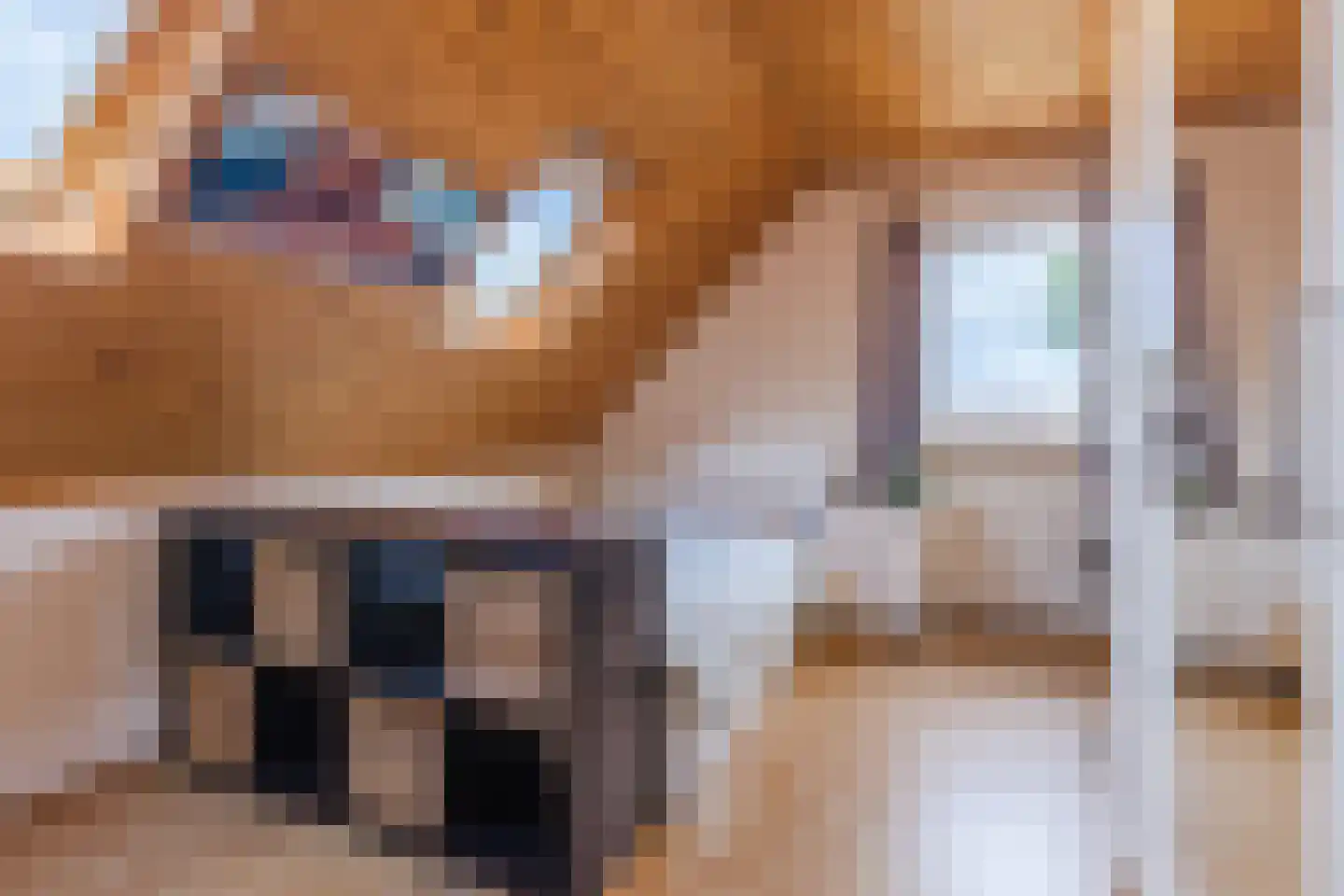 Oranjestraat 44 Gilze thumbnail 41