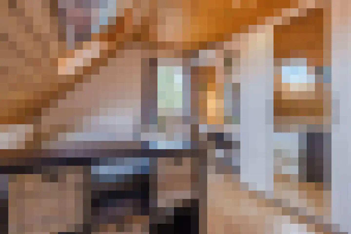 Oranjestraat 44 Gilze thumbnail 42