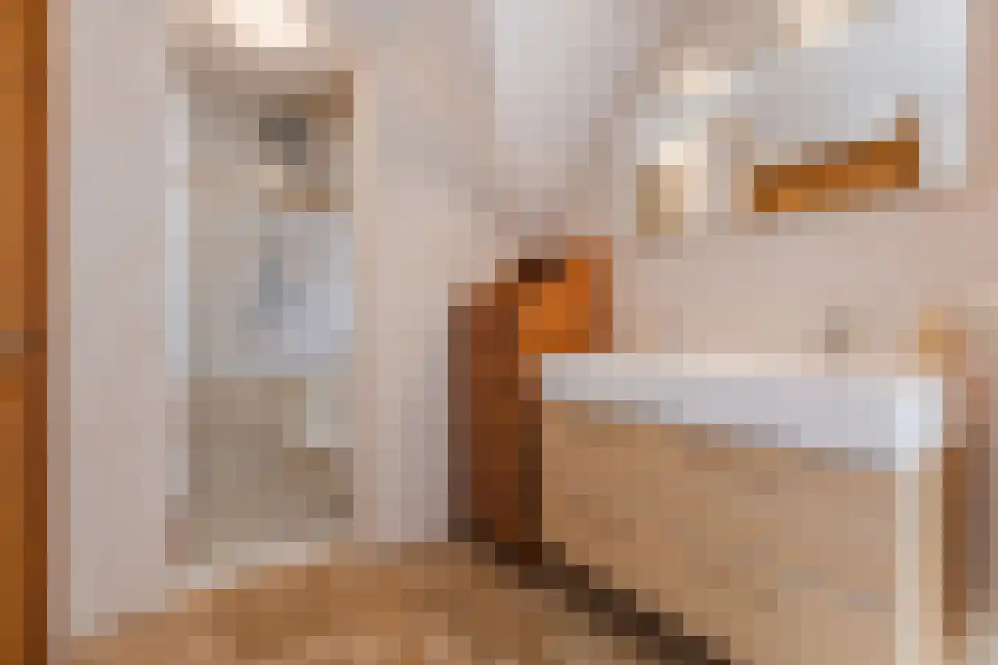 Oranjestraat 44 Gilze thumbnail 45