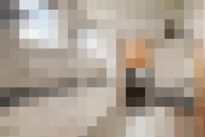 Oranjestraat 45 Ridderkerk thumbnail 15