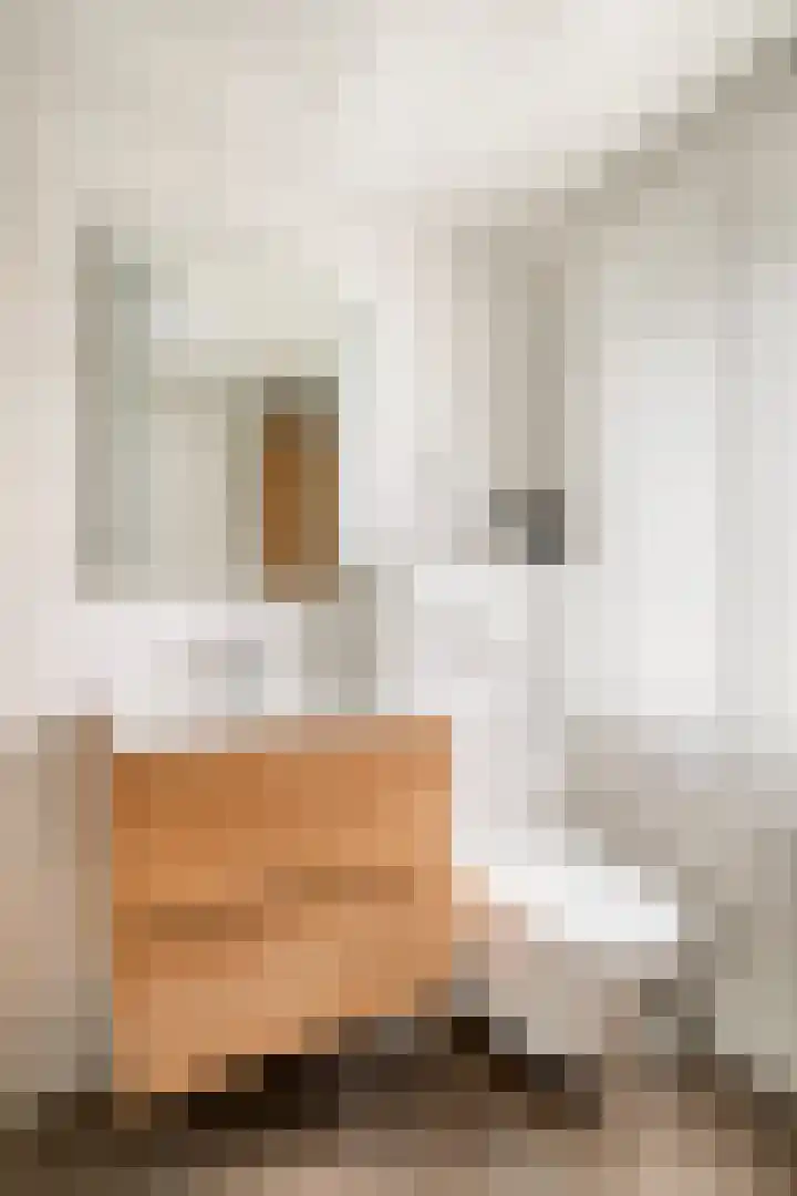 Oranjestraat 45 Ridderkerk thumbnail 32