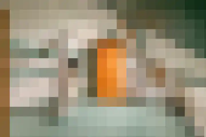 Oranjestraat 45 Ridderkerk thumbnail 35
