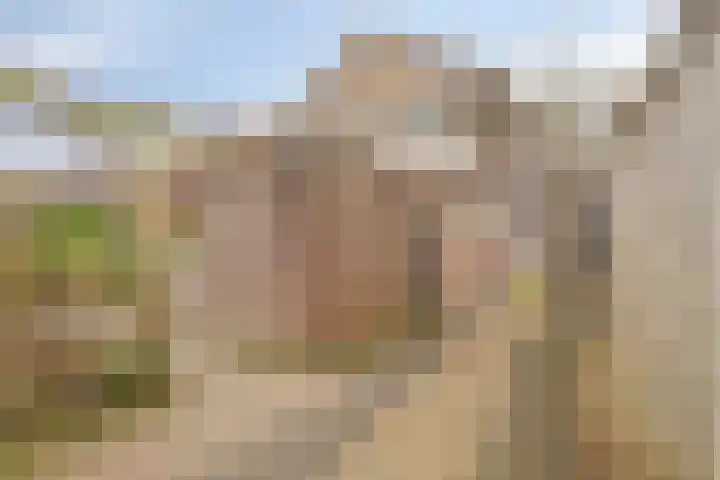 Oranjestraat 45 Ridderkerk thumbnail 38