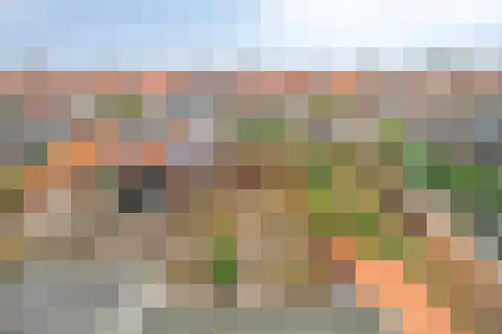 Oranjestraat 45 Ridderkerk thumbnail 39