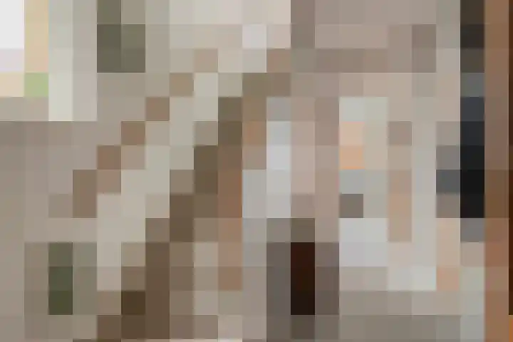 Oranjestraat 45 Ridderkerk thumbnail 8