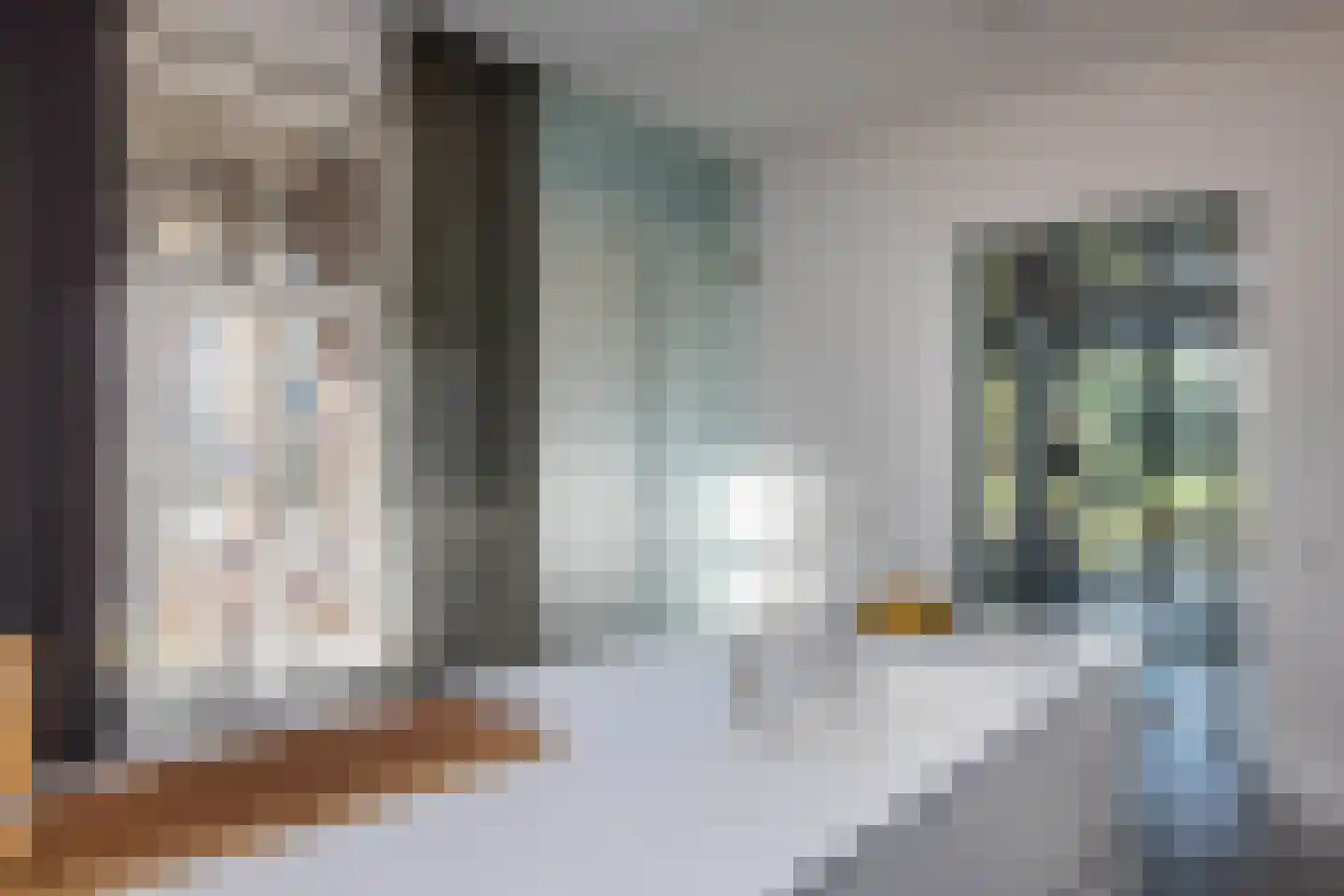 Oranjestraat 46 Tubbergen thumbnail 21