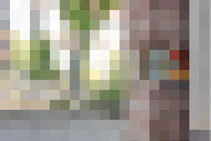 Oranjestraat 47 Arnhem thumbnail 32