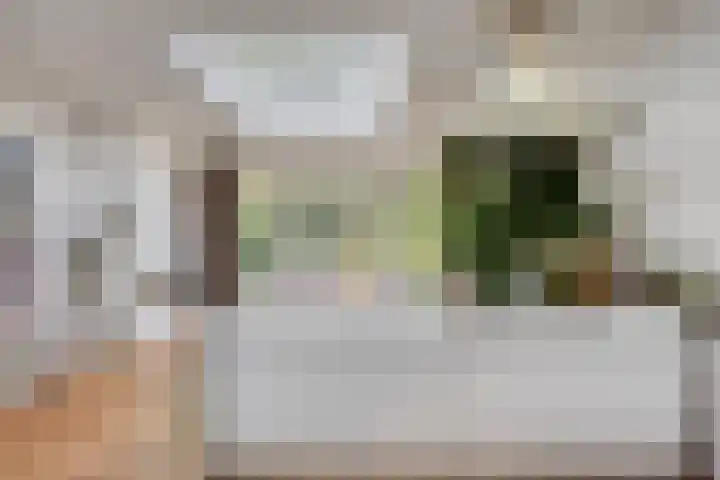 Oranjestraat 47 Arnhem thumbnail 4